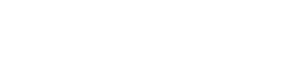 Speedo